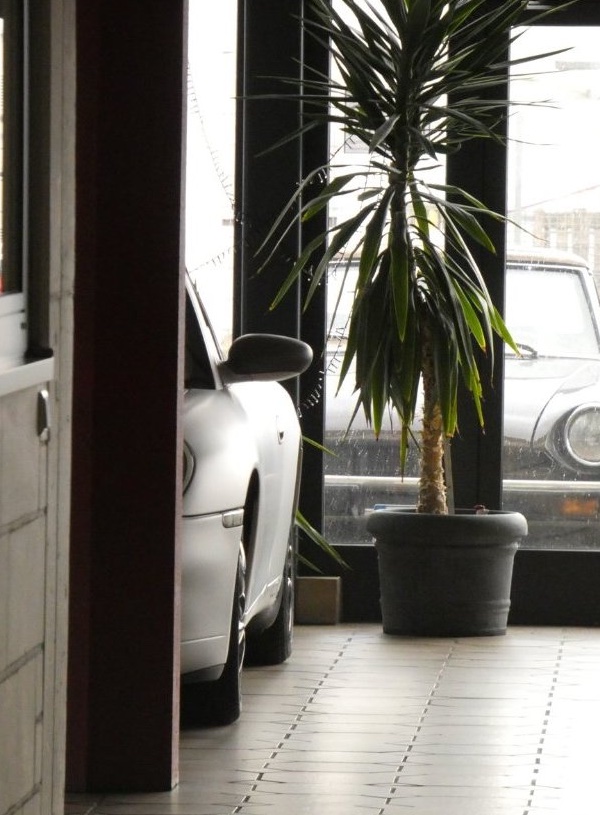Oldtimer hinter der Showroom-Scheibe
